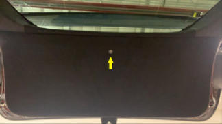 G15437967