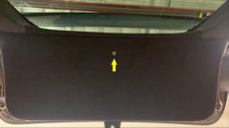 G15437972