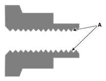 G15548247