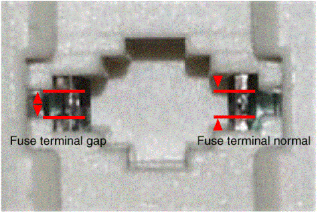G15549127