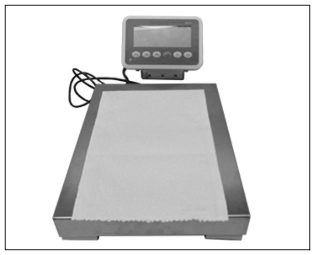 G15551379