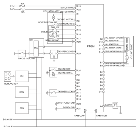 G15554779