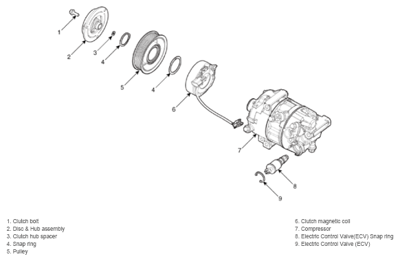 G15555012