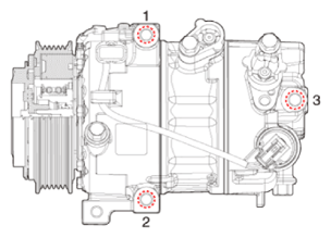 G15555018