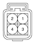 G15591481