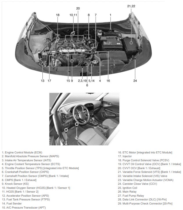 G15694494