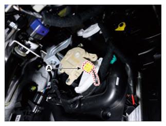 G15717310