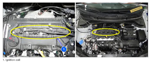 G15729195