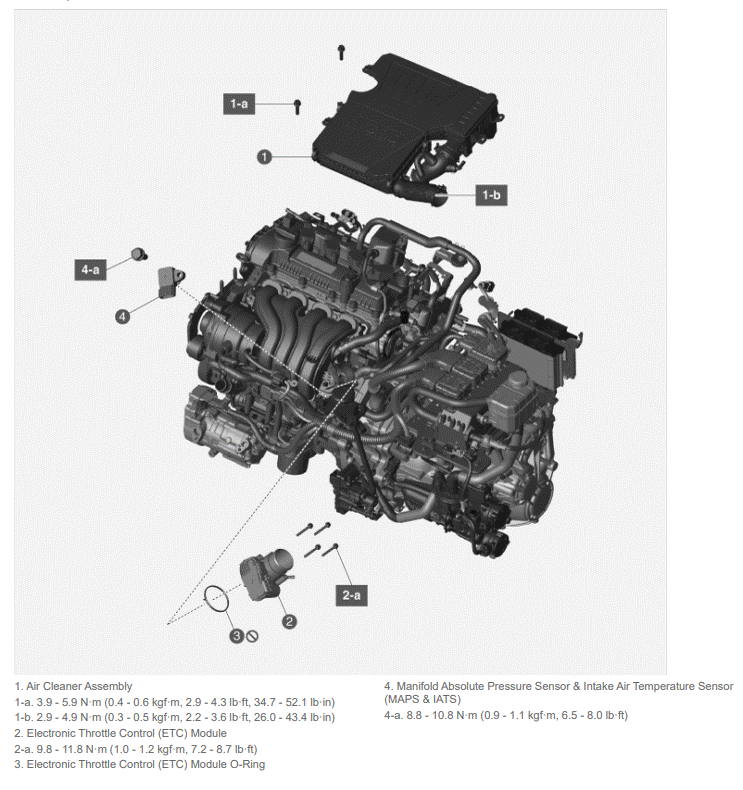 G15767132