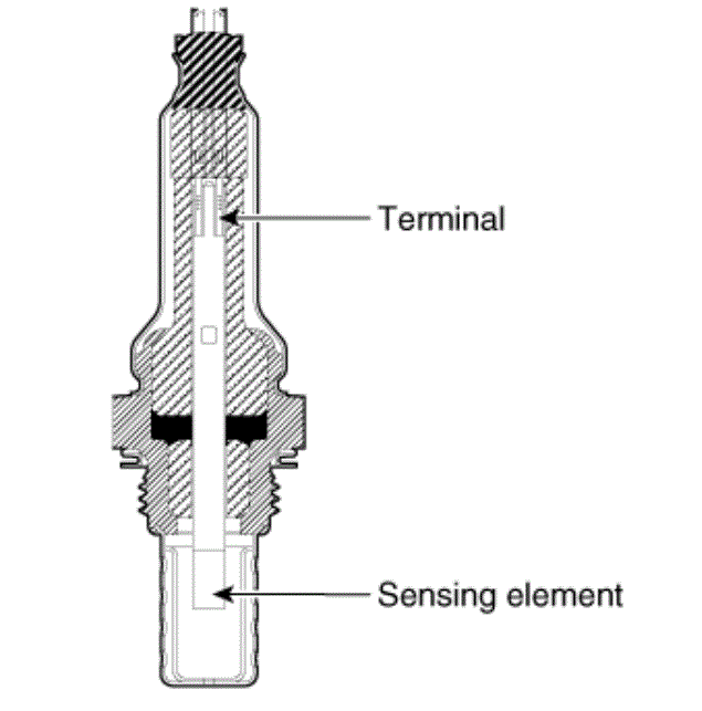 G16146395