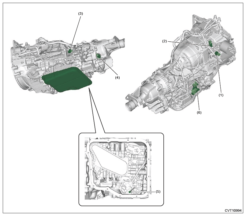 G16446545