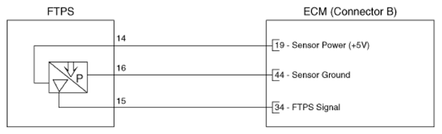 G16545655