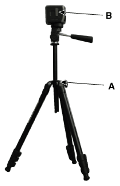 G16833033