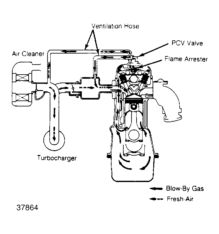 G37864