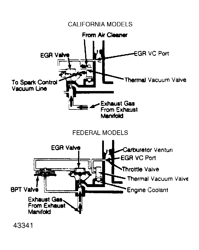 G43341