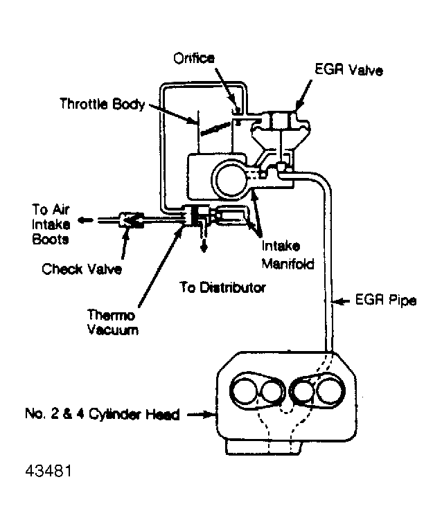 G43481