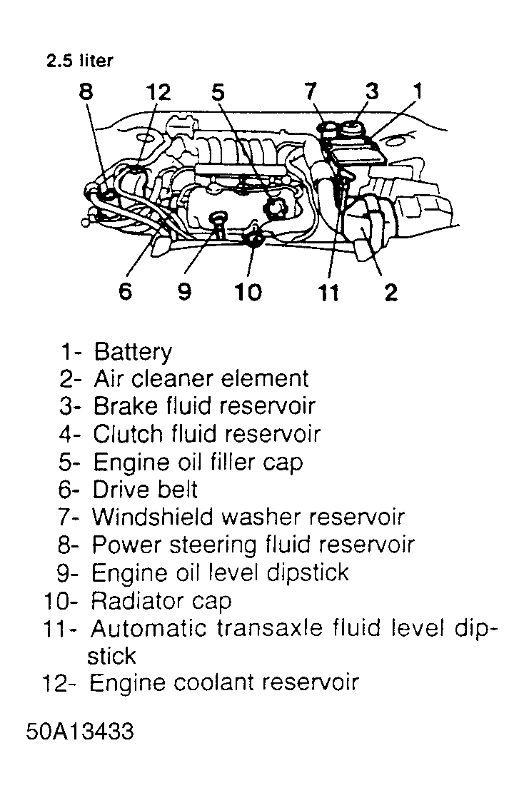 G50A13433
