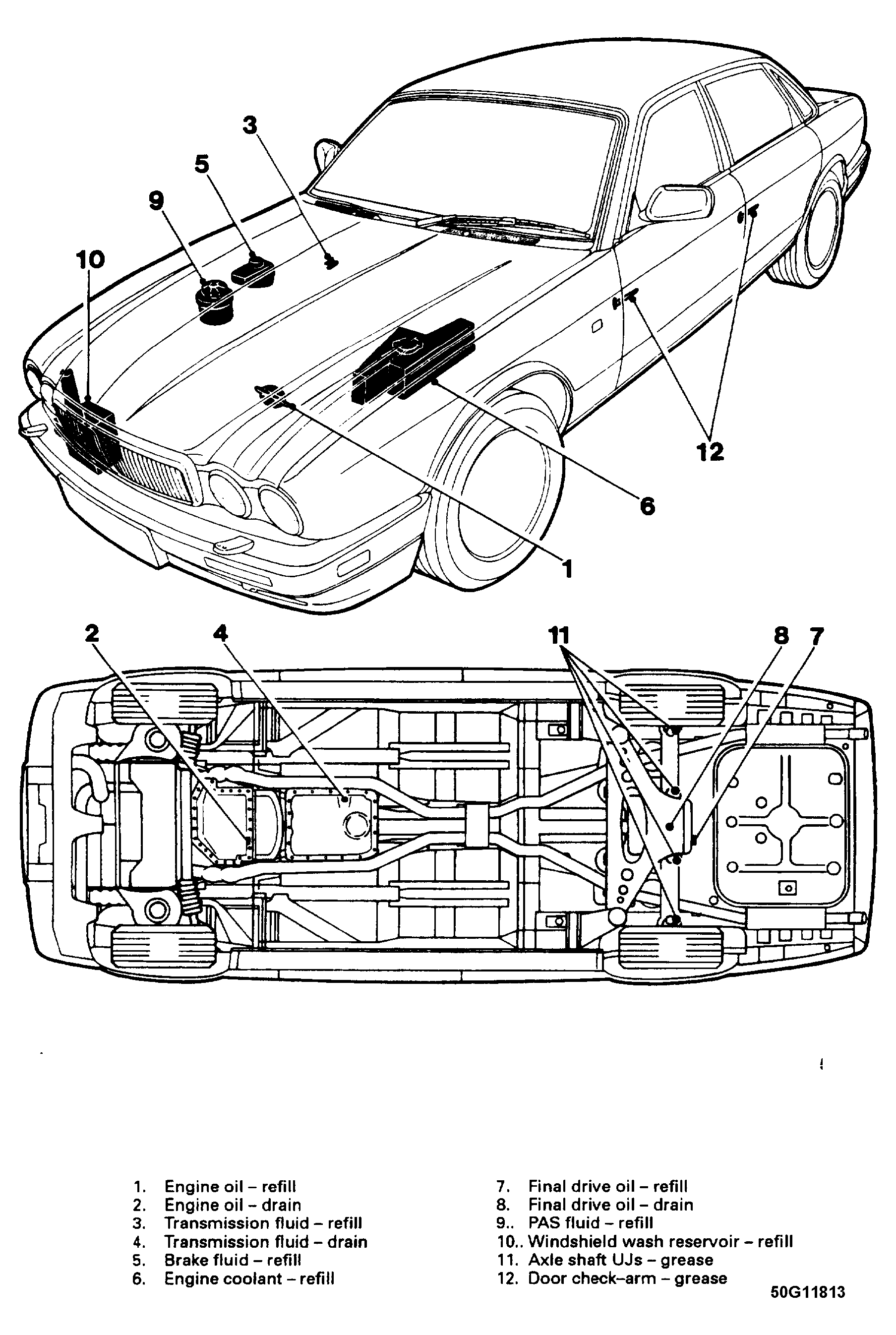 G50G11813