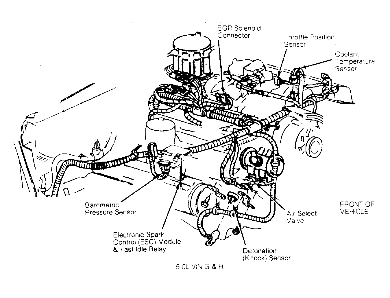 G53678