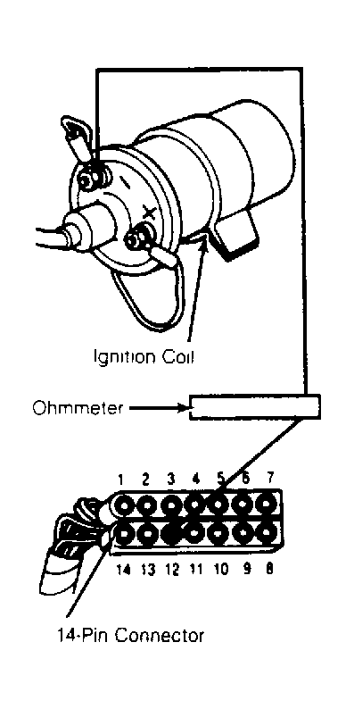 G55904