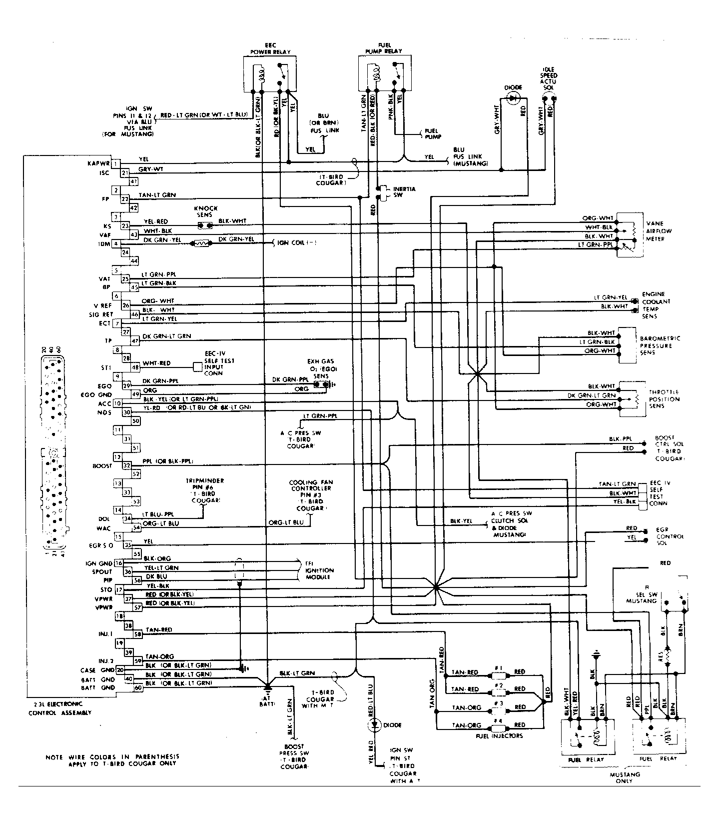 G74025