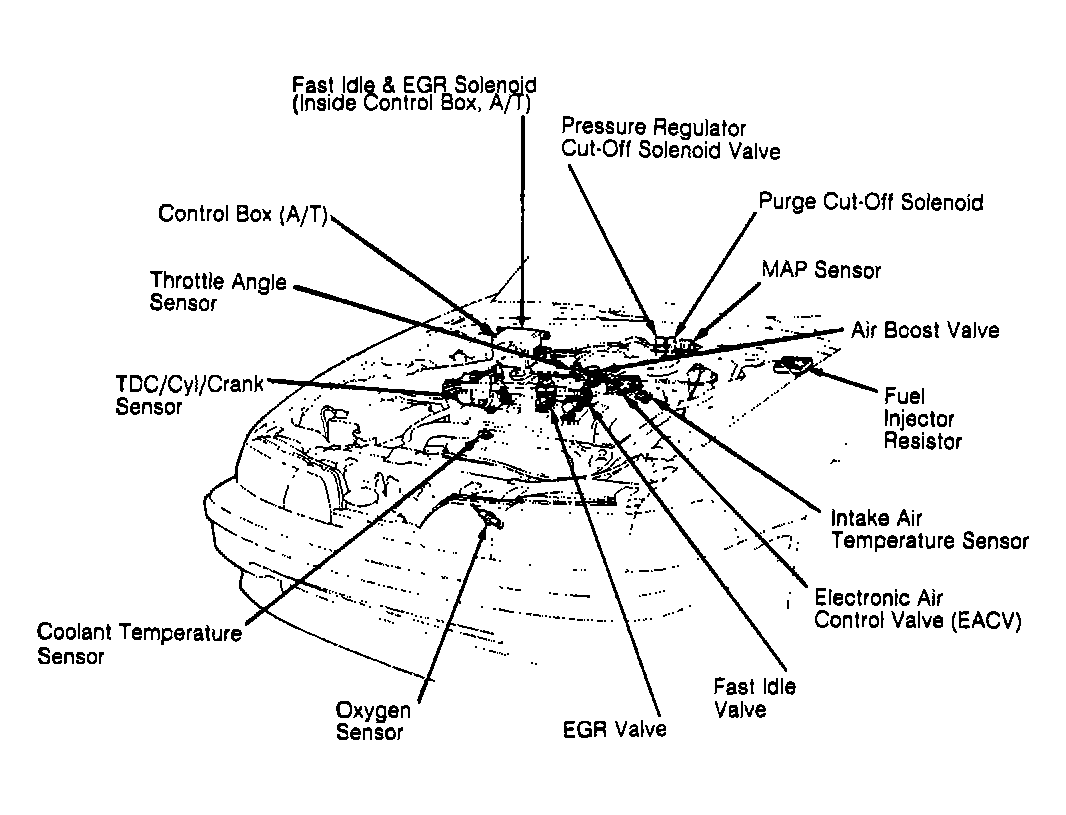 G91F09569