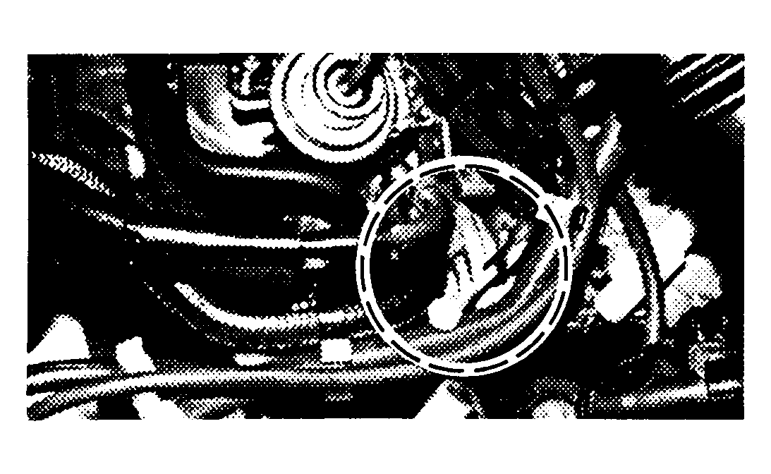 G91H31127