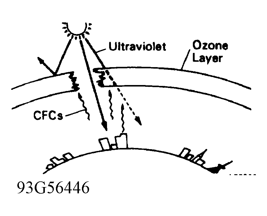 G93G56446