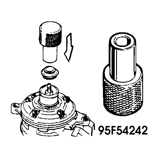 G95F54242
