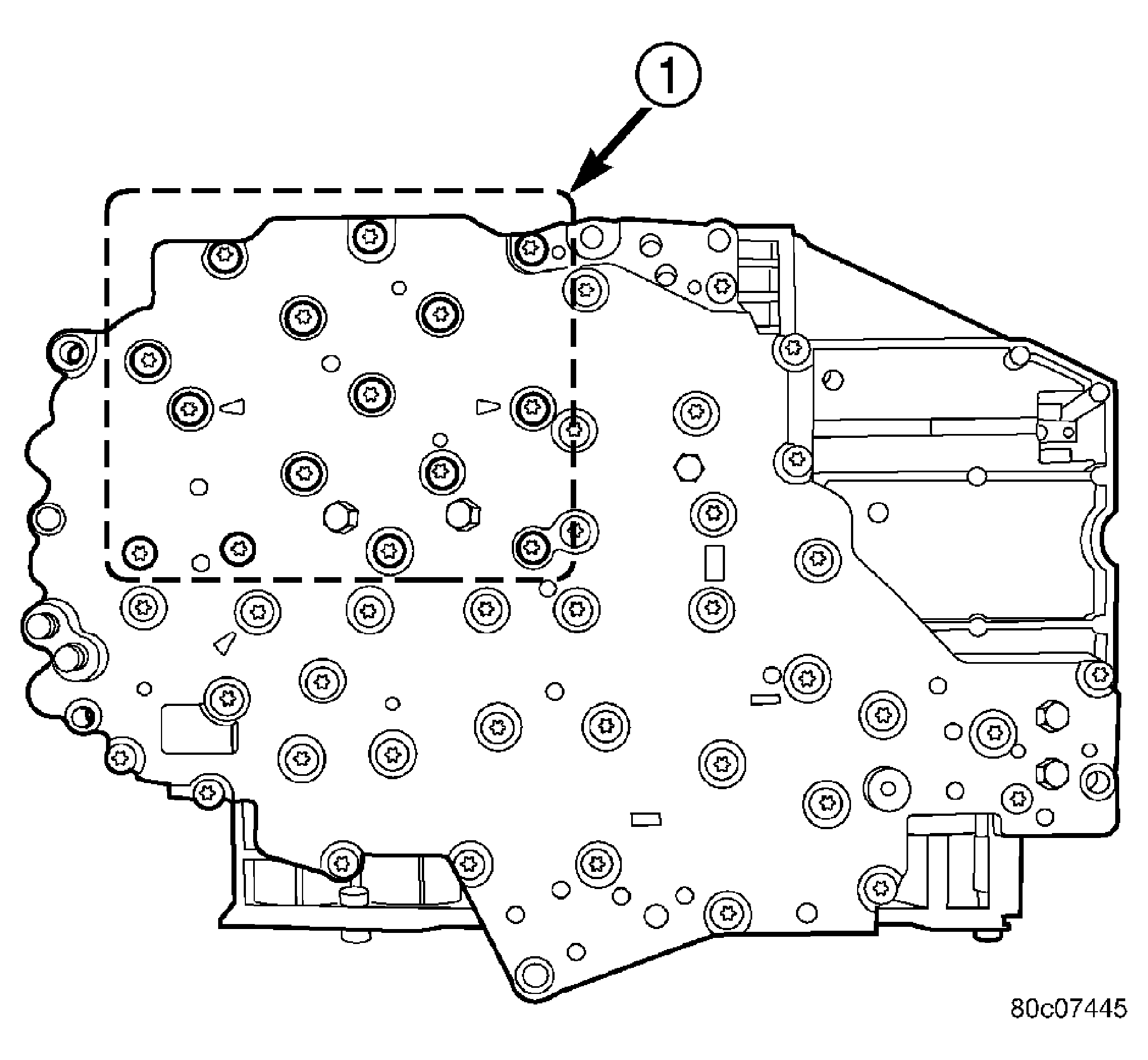 GC0005311