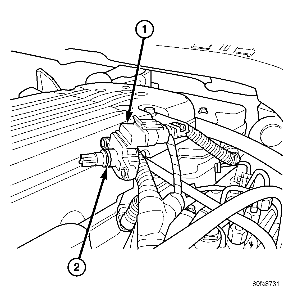 GC0006709
