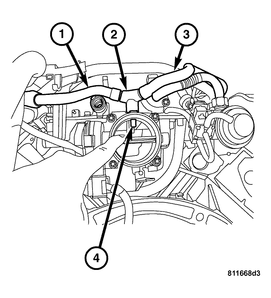GC0033604