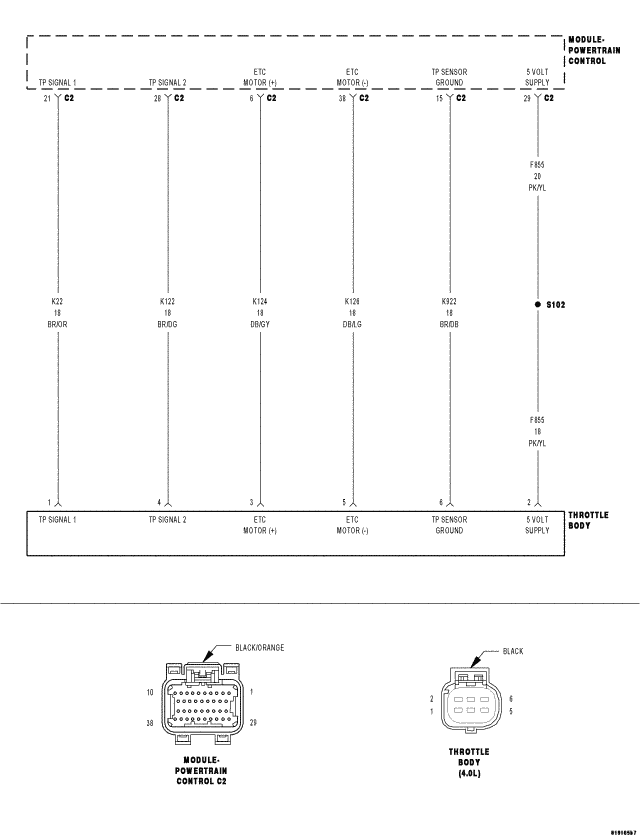 GC0049434