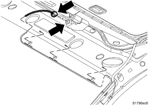 GC0055794
