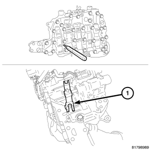 GC0056596