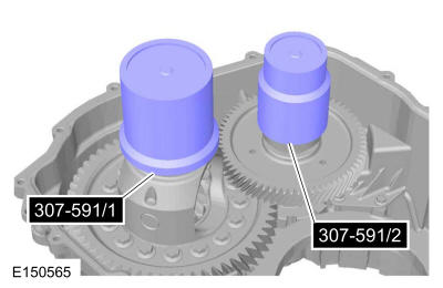 GFD124356