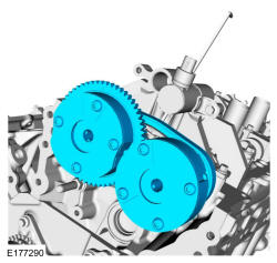 GFD135305