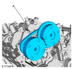 GFD135312