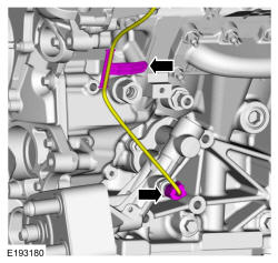 GFD135398