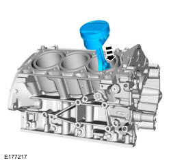 GFD135530