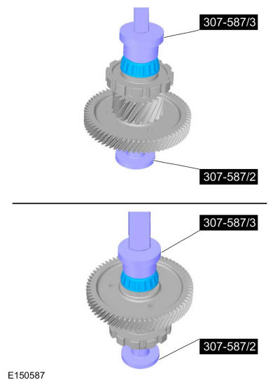 GFD237448