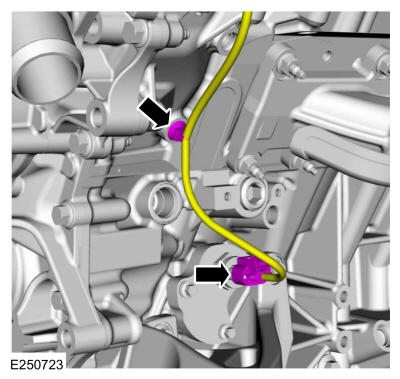 GFD344770