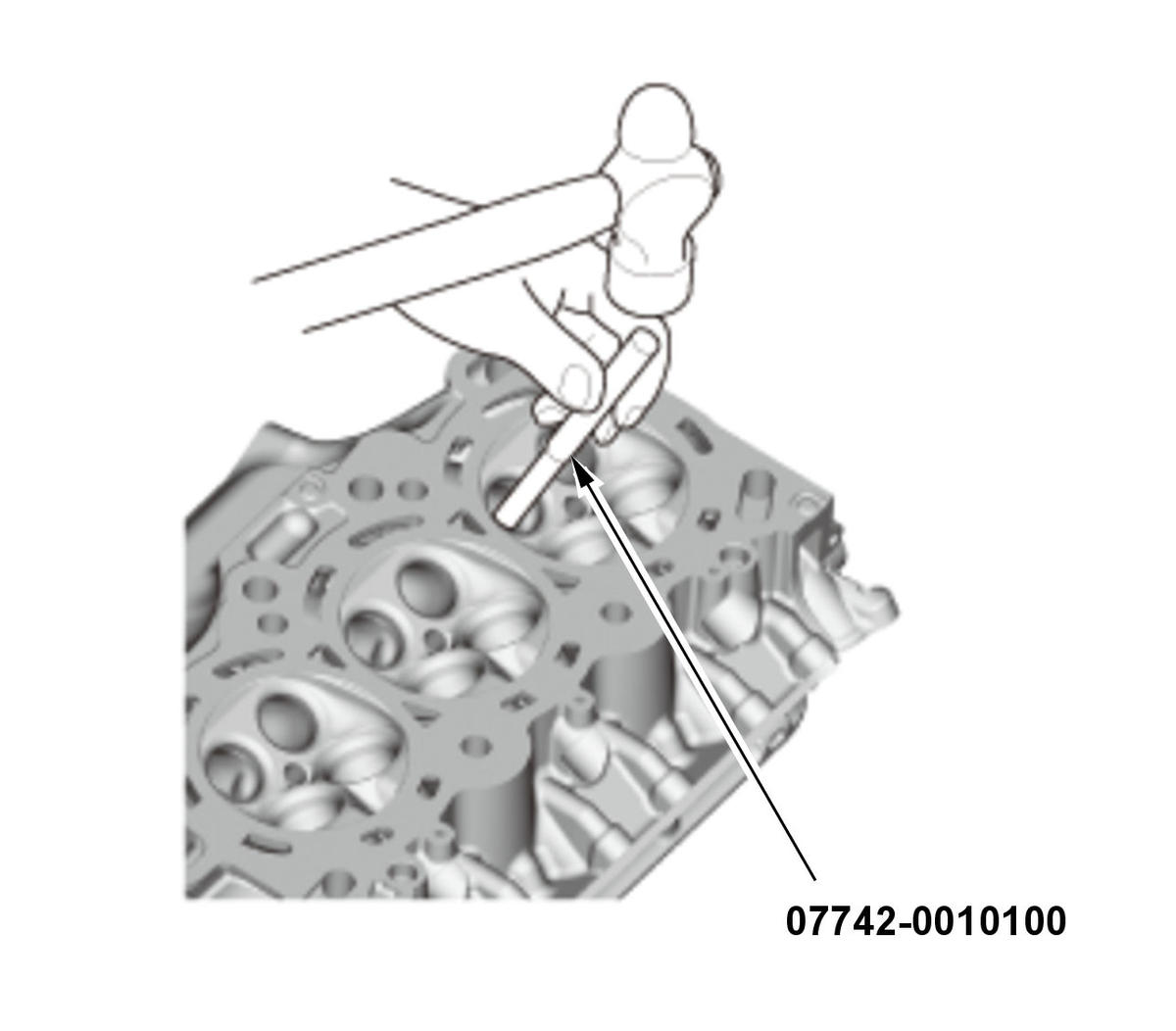 GHH455009
