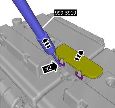 GLL1033341