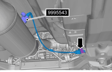 GLL155118