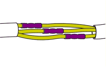 GLL168053