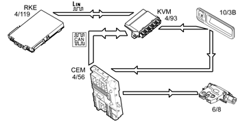 GLL174384