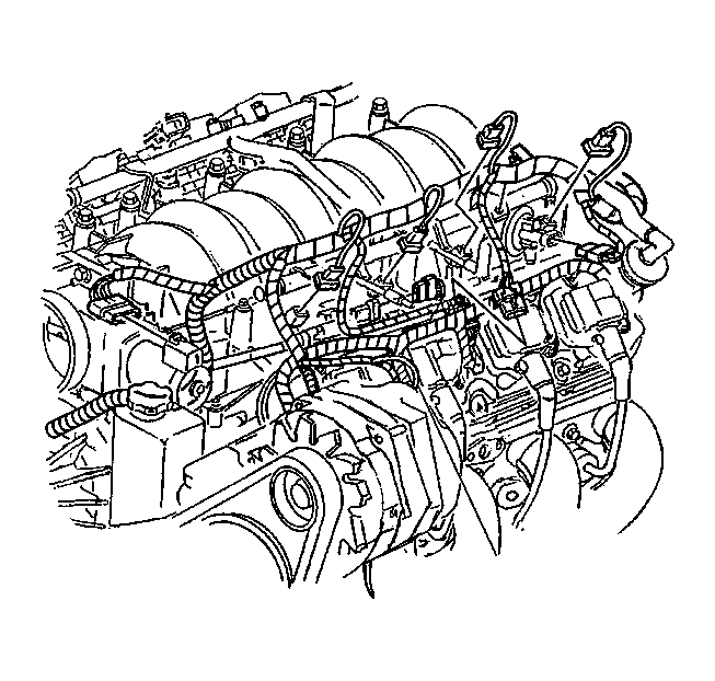 GM187335