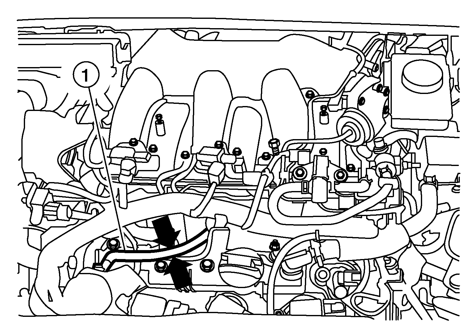 GNSALBIA3204Z-204