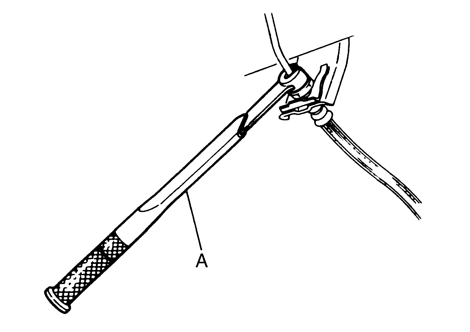 GNSDB129810